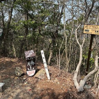 勝山　ここでピークは終了