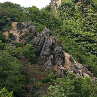 奧に見えるのが、これから向かう唐木岳です😊