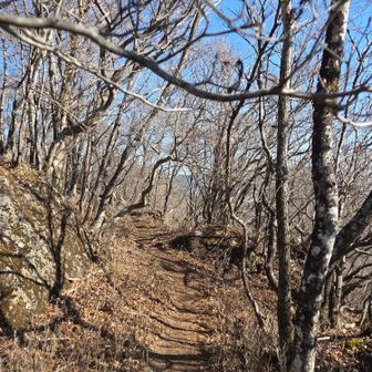 アップダウンの稜線を歩いて