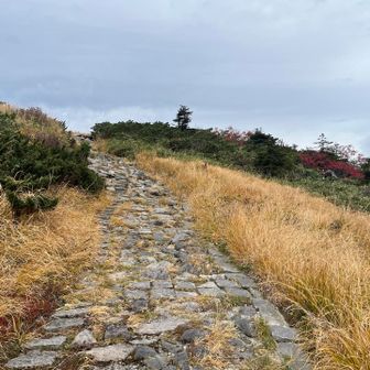 人形石に向かう道