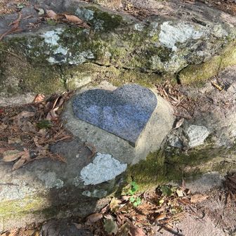 みなさんこのルートで見つけてください❤️
２個あります🤭

