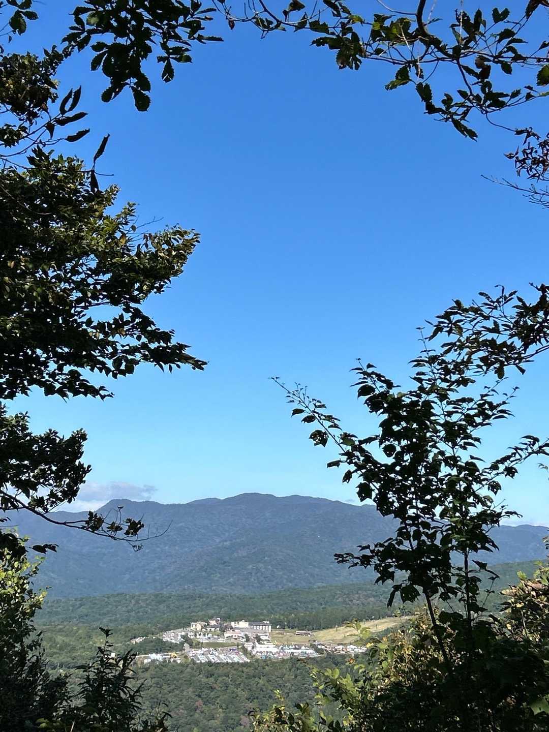 三頭山ブルー🫐