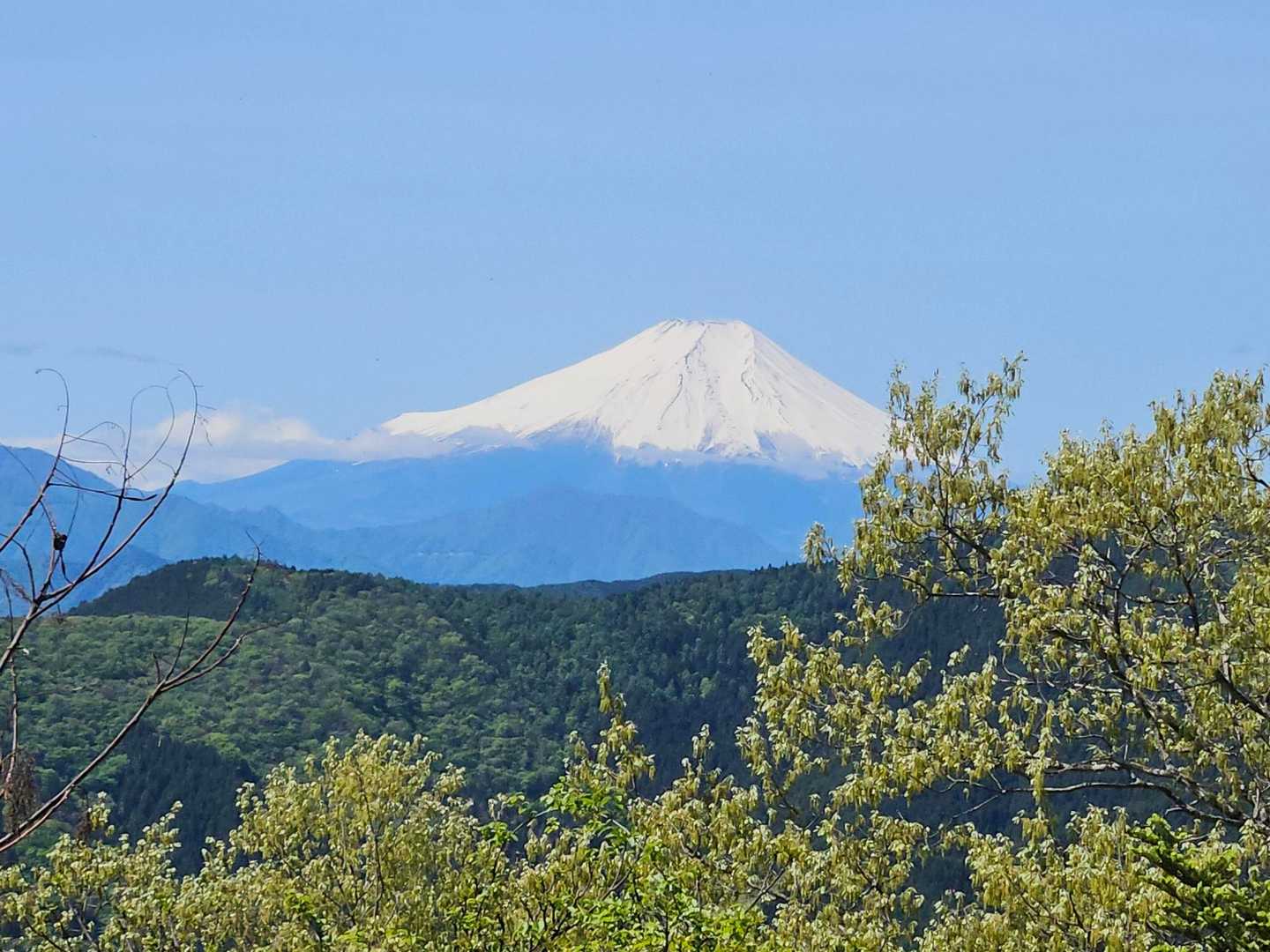 仲の平バス停-御林山-数馬峠-内台山-人里峠-浅間嶺-天領 縦走コースの写真