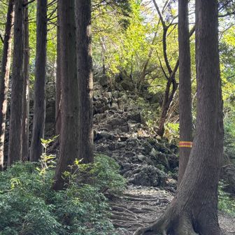 岩場。切れ落ちたりしてないし、高度感もなく足場も安定してるから怖くはない