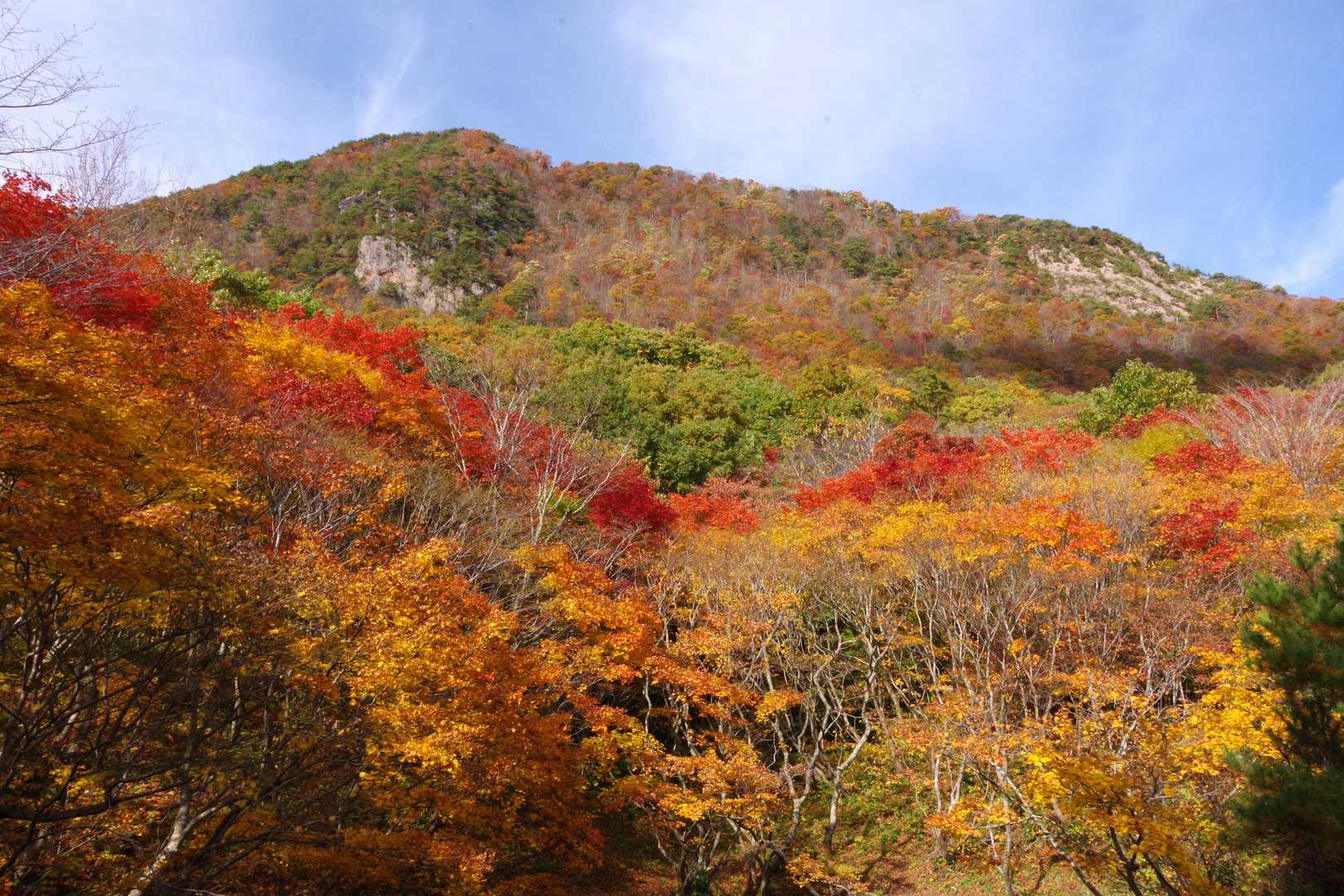 女神山🗽