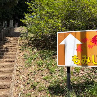 登山道へ