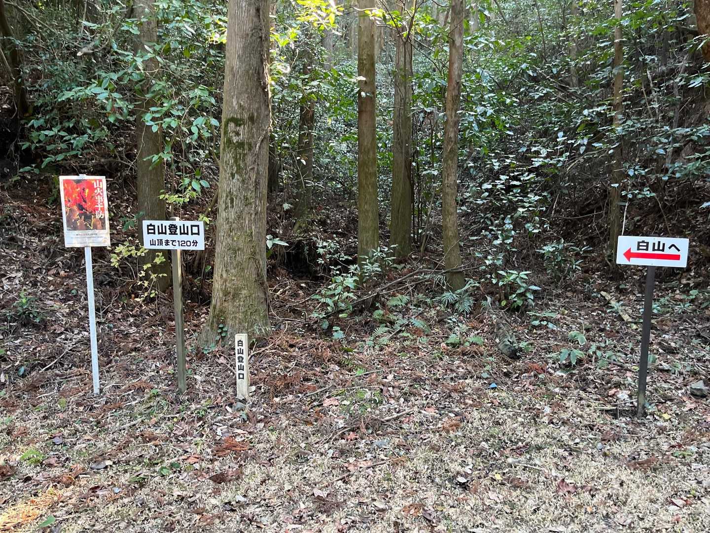 白山登山口-白山 往復コースの写真