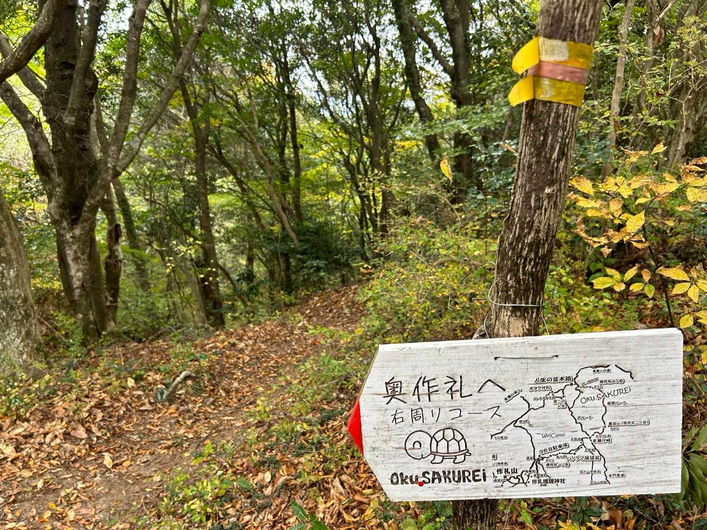急登を登ったら、駐車場近くに到着☝️
奥作礼をぐるりひとまわりしました⛰️