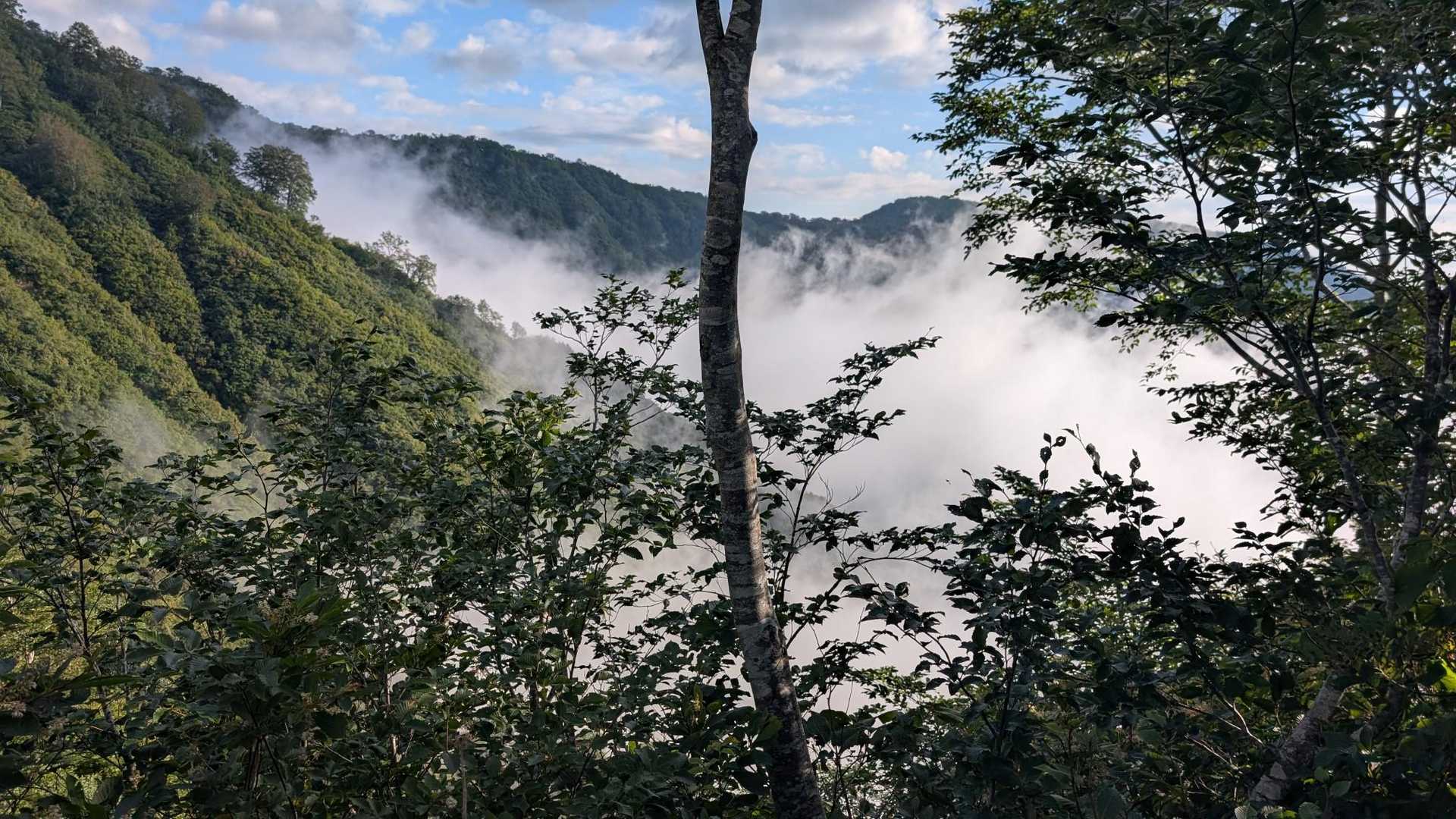 滝雲も🌫️