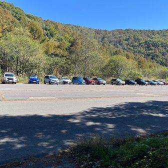 お昼の駐車場、がら空きでした。