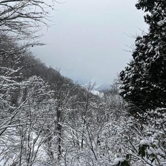 下山途中の尾根コースから。
ようやく少し見えた？