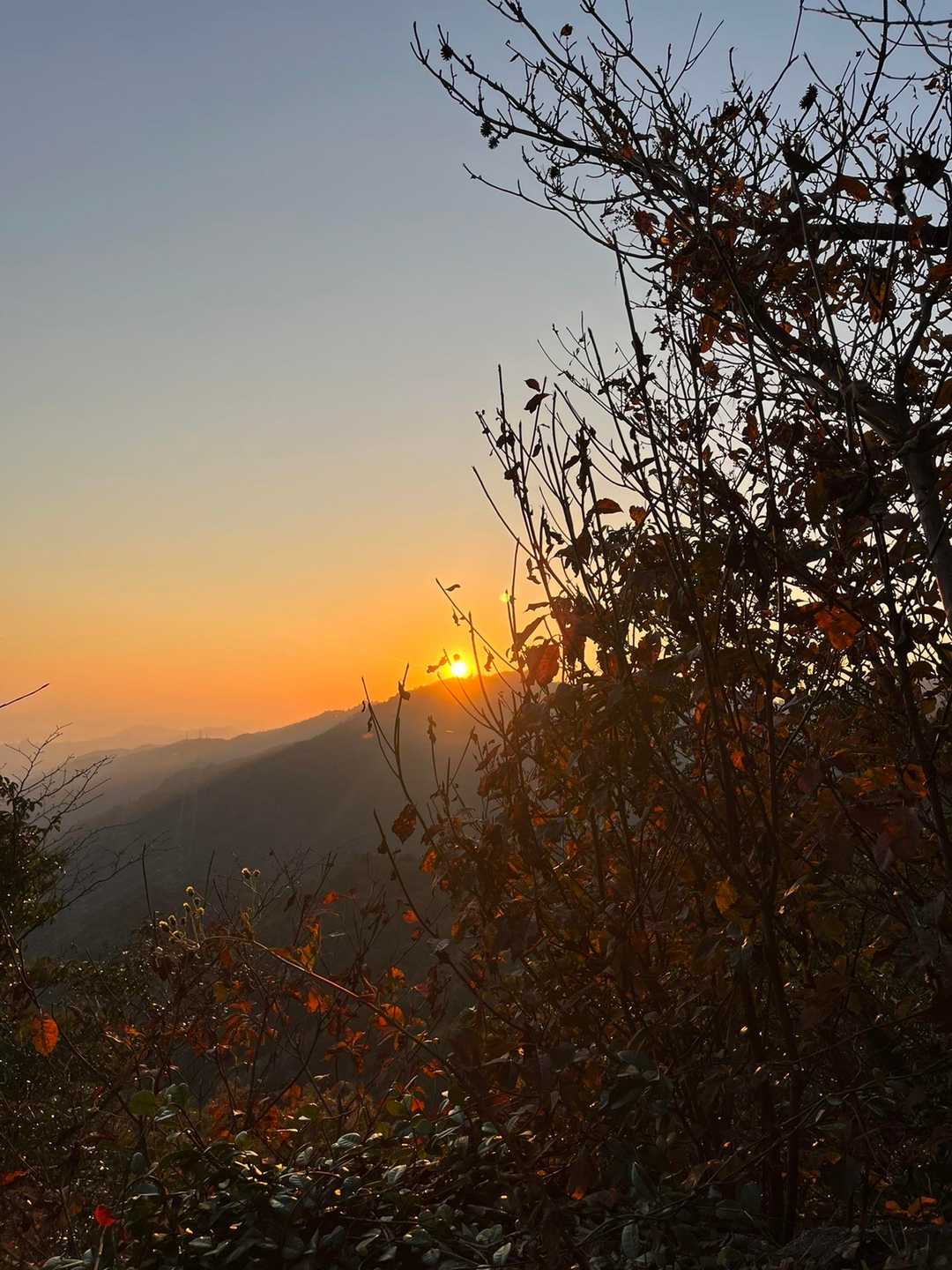 多分摩耶山に沈んでいく太陽。多分摩耶山。知らんけど。