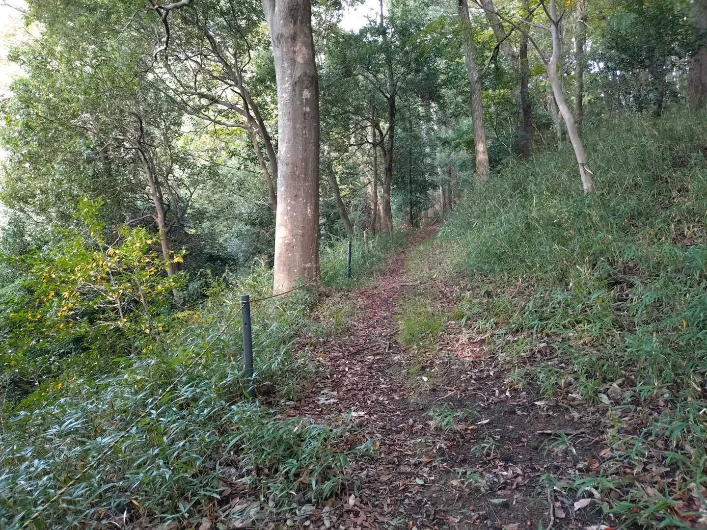整備されてて歩きやすい✌