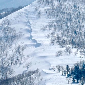 熊見山への稜線
ＢＣの人達が左斜面から登ってくる⛷️🏂