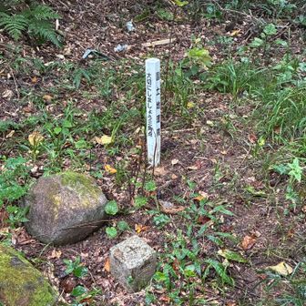 123.4m地点 姉取山三角点
