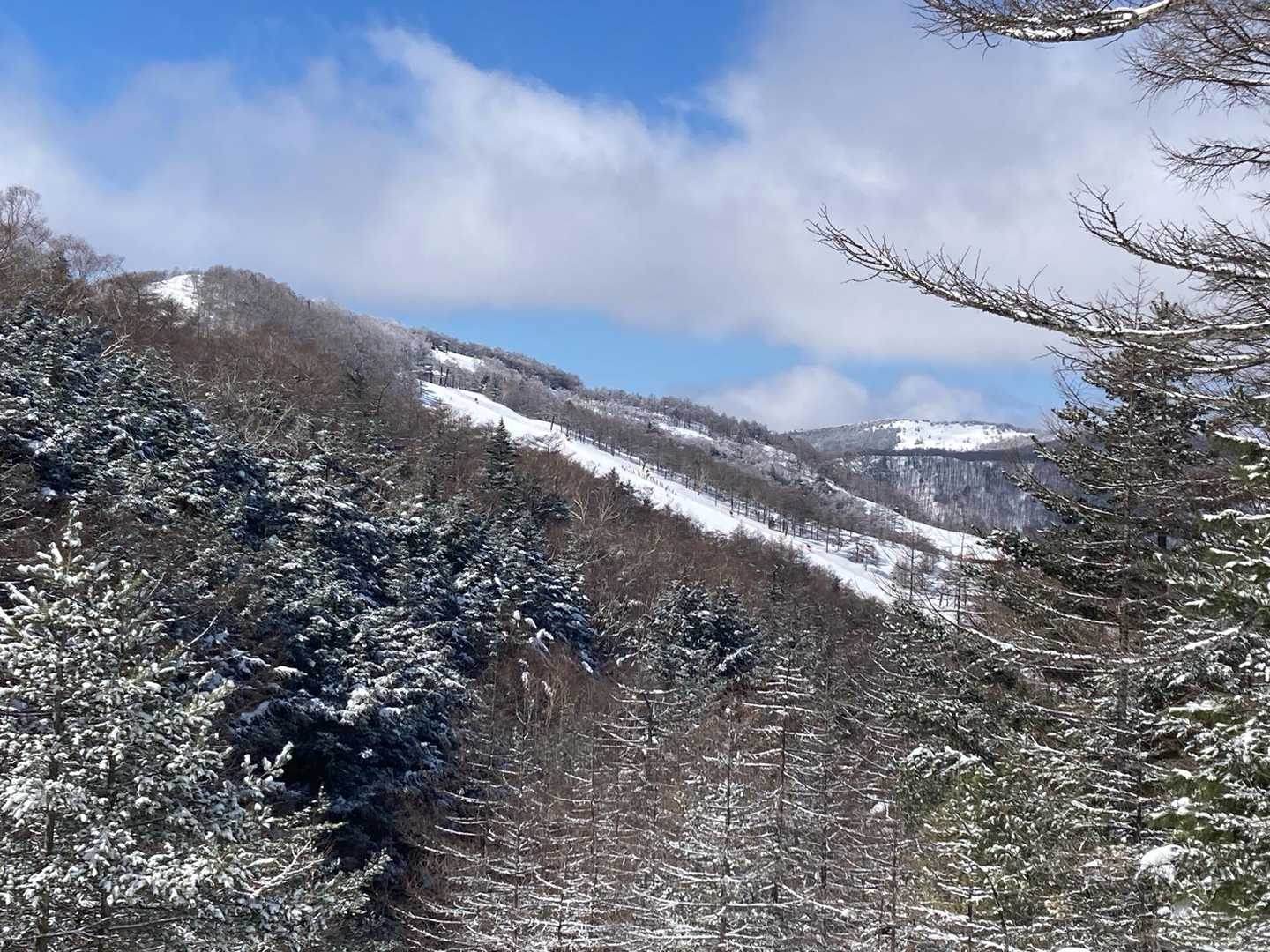 良い天気