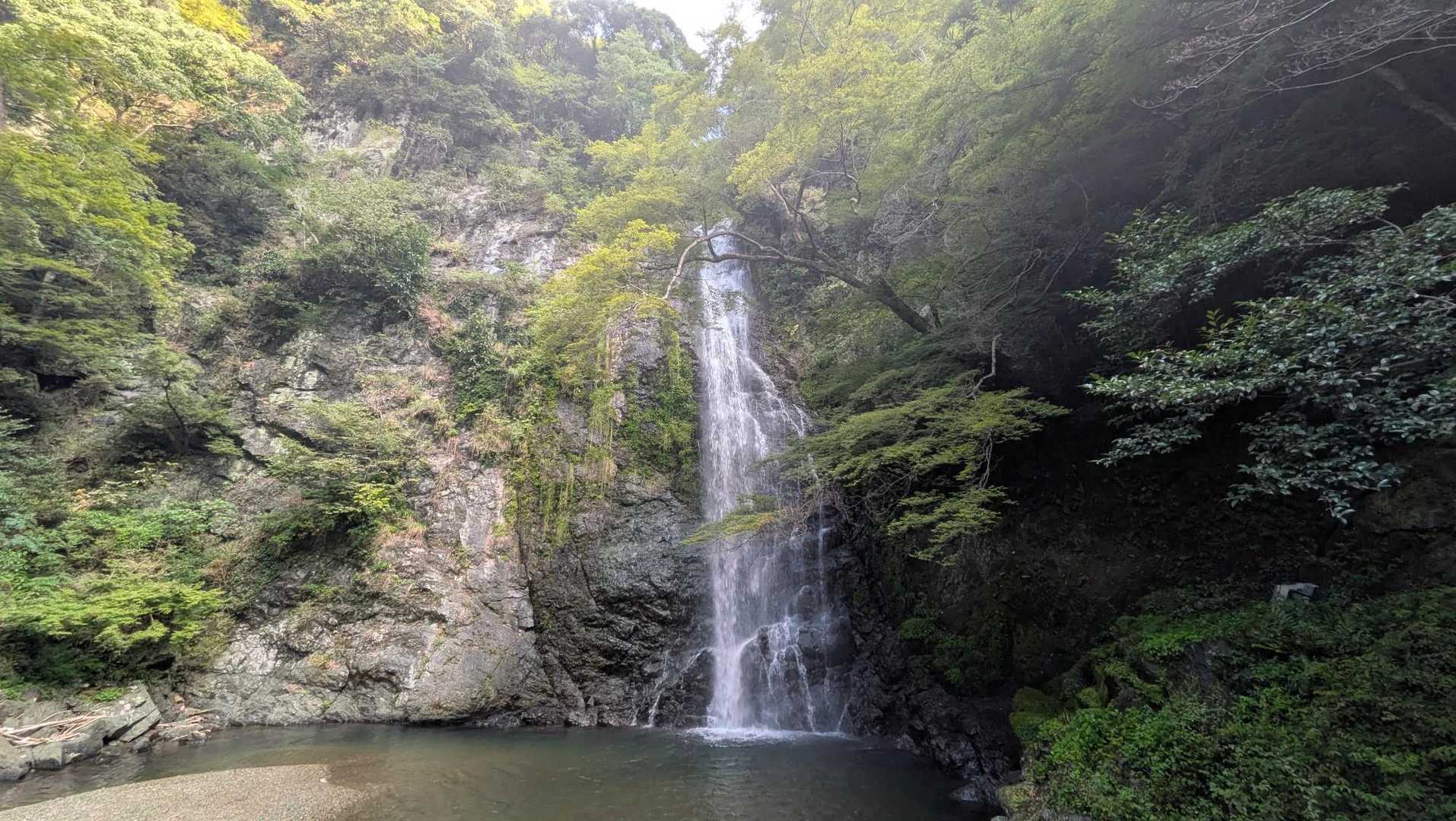 石子詰登山口-天上ヶ岳-三国峠-箕面山 往復コースの写真