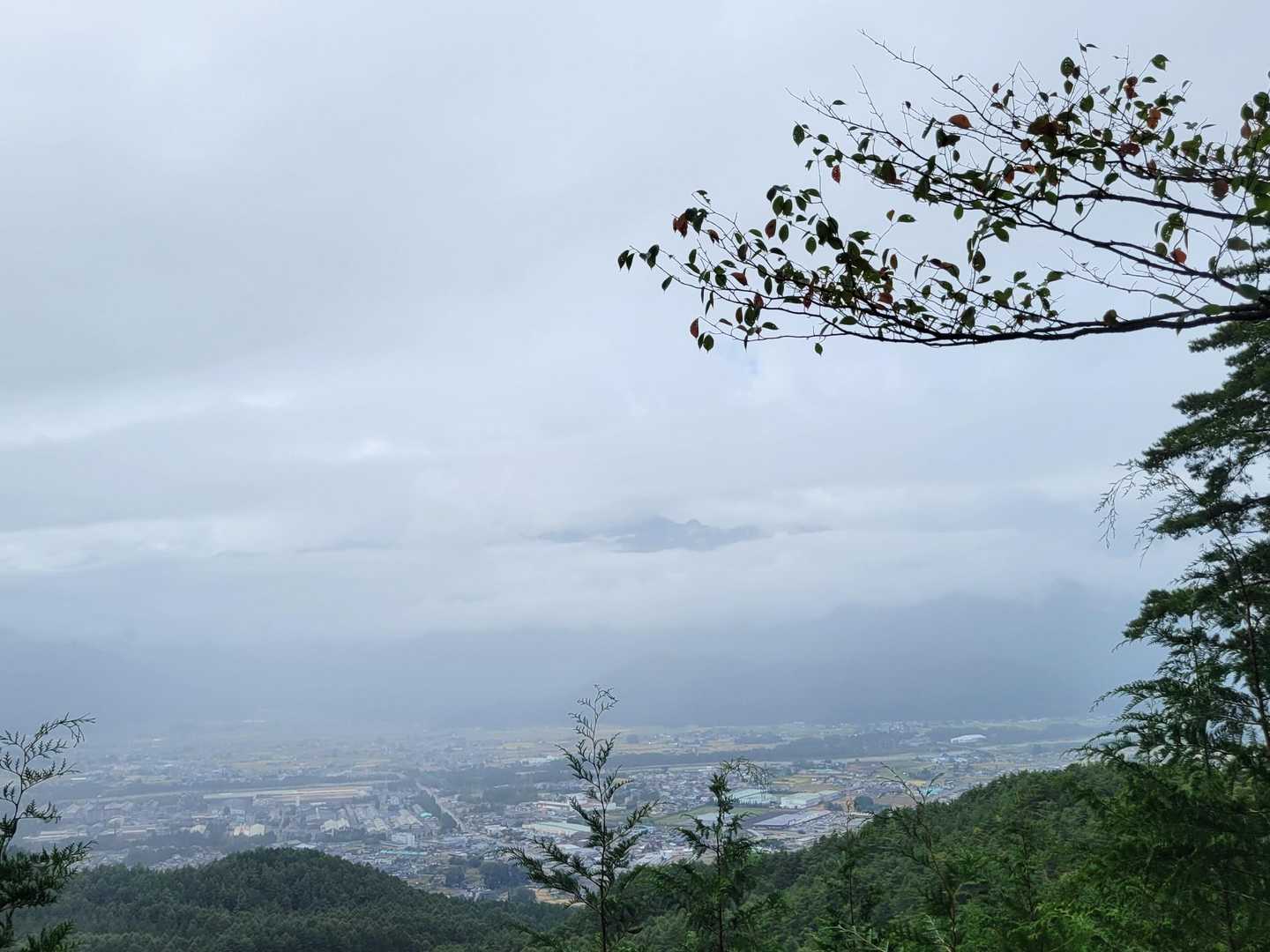 駆け上がりコース途中から雨☂️
道路に出たら回れ右
