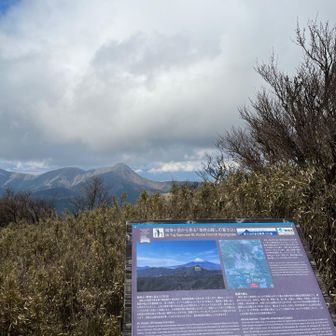どどん！と見えるはずの富士山。
また来ますー