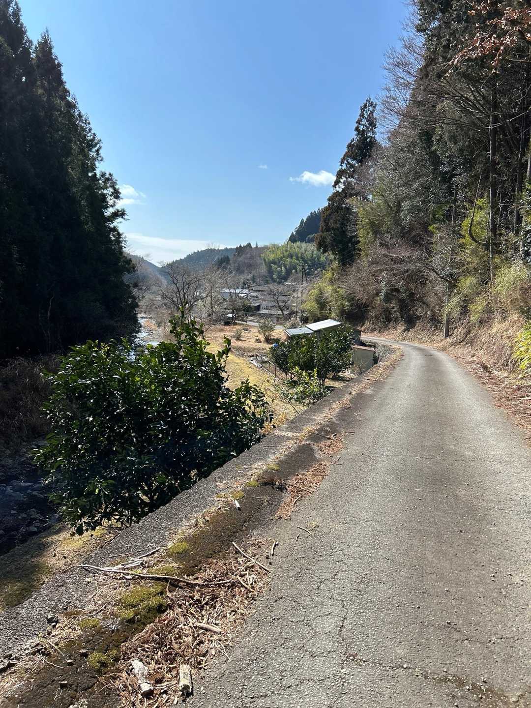 のどかな雰囲気(*'▽'*)
お疲れ様でした♪いい山行でしたぁ。
