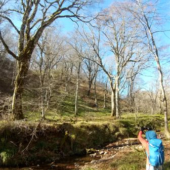 左門岳 対岸の土手？もいい雰囲気。