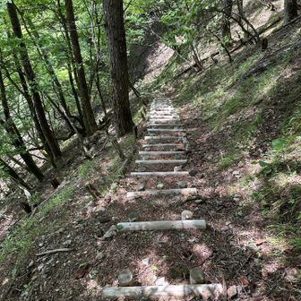 水場は5分ほど降ります。