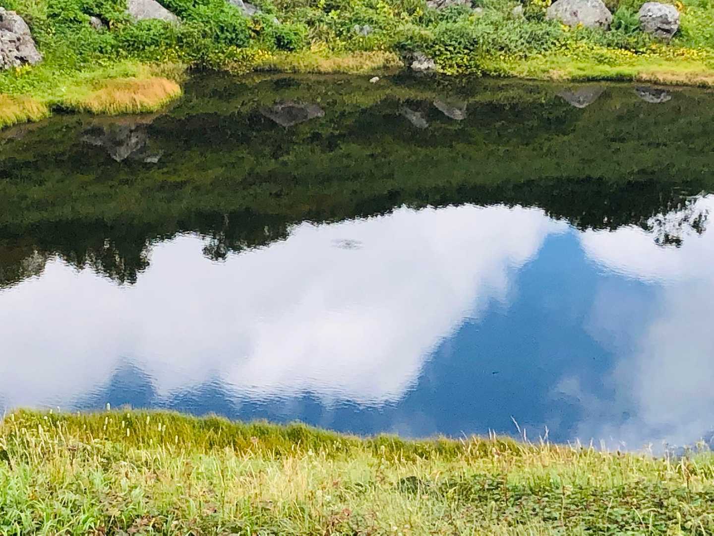 月山森 往復コースの写真