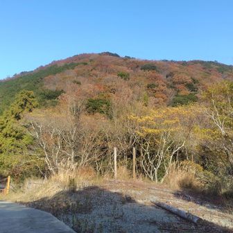宇利峠。ちょうど半分。折り返し地点。いいペース。ここで半袖に着替える