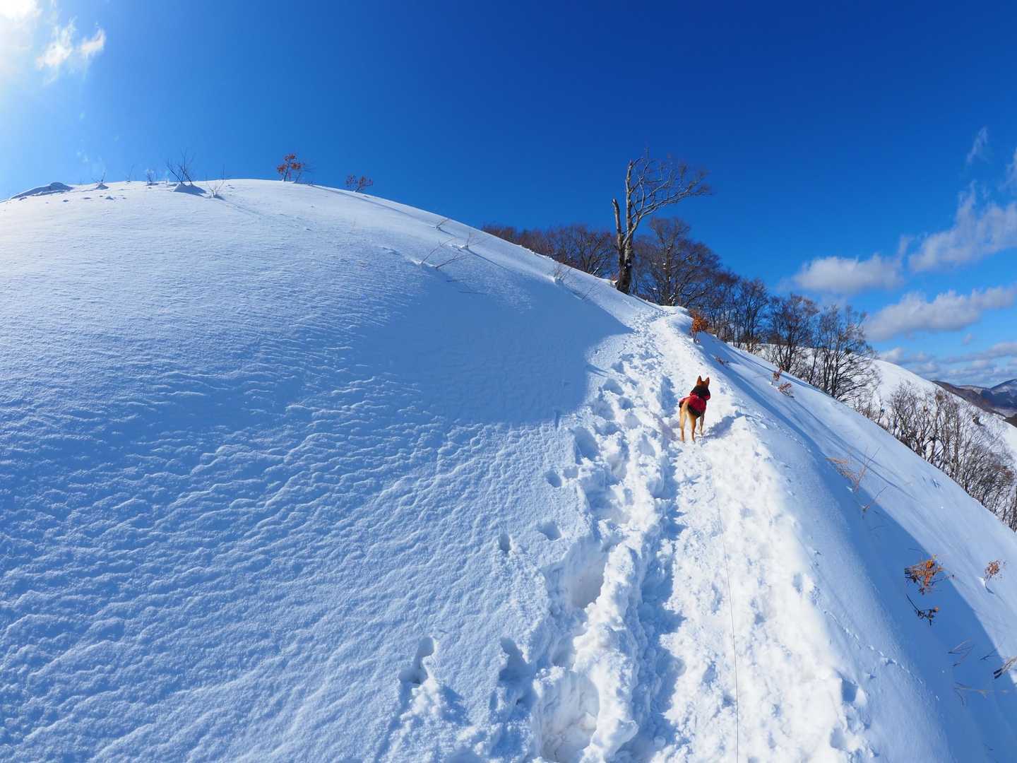 雪は沢山ありました