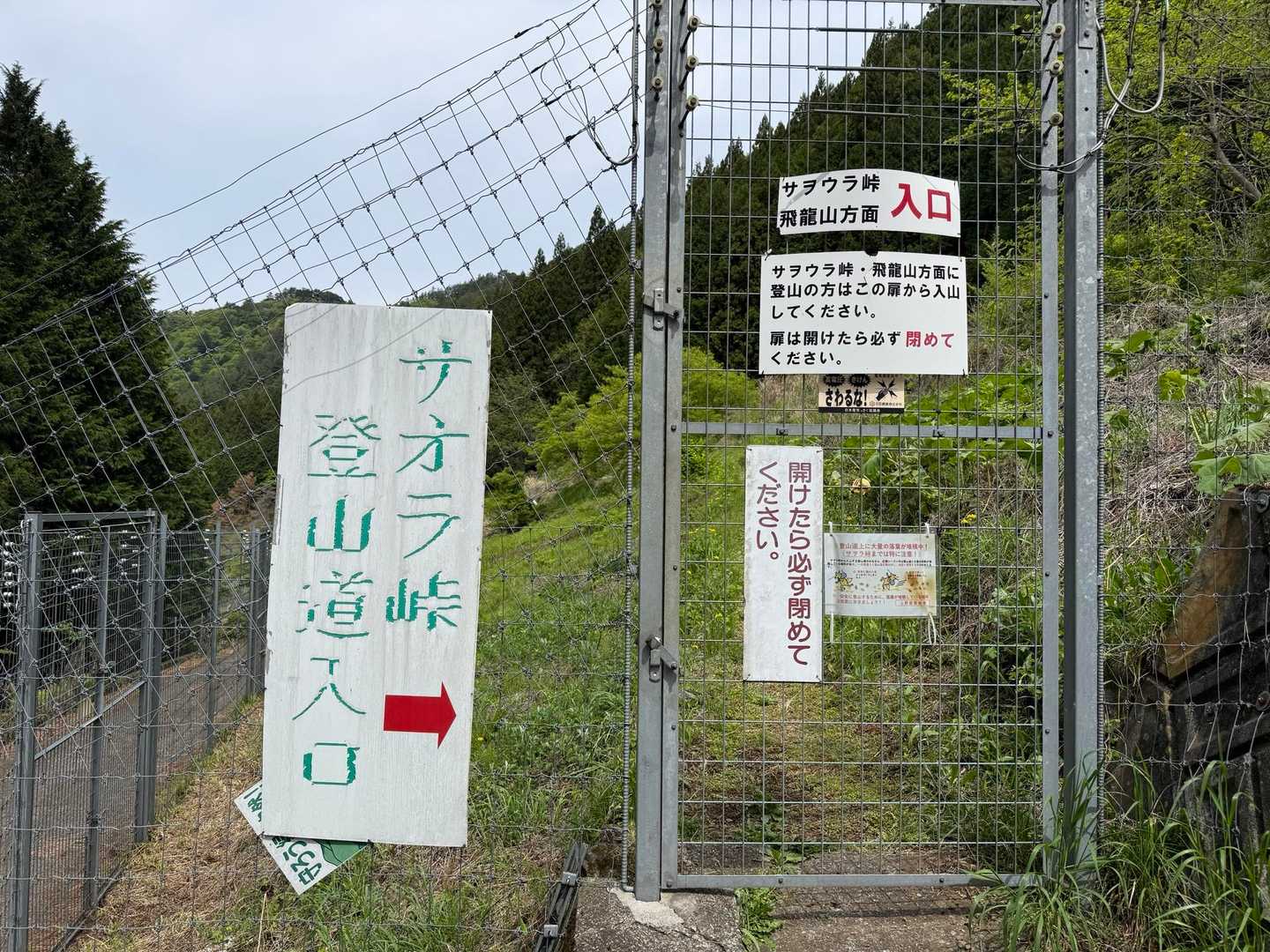 飛龍山（丹波バス停）＜ミサカ尾根＞の写真