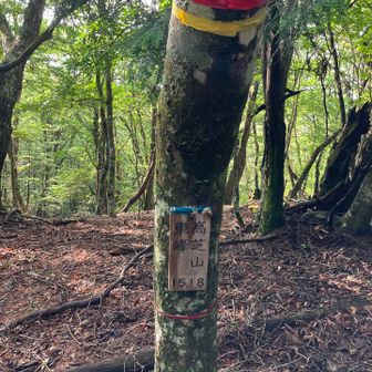 本日、一座目。