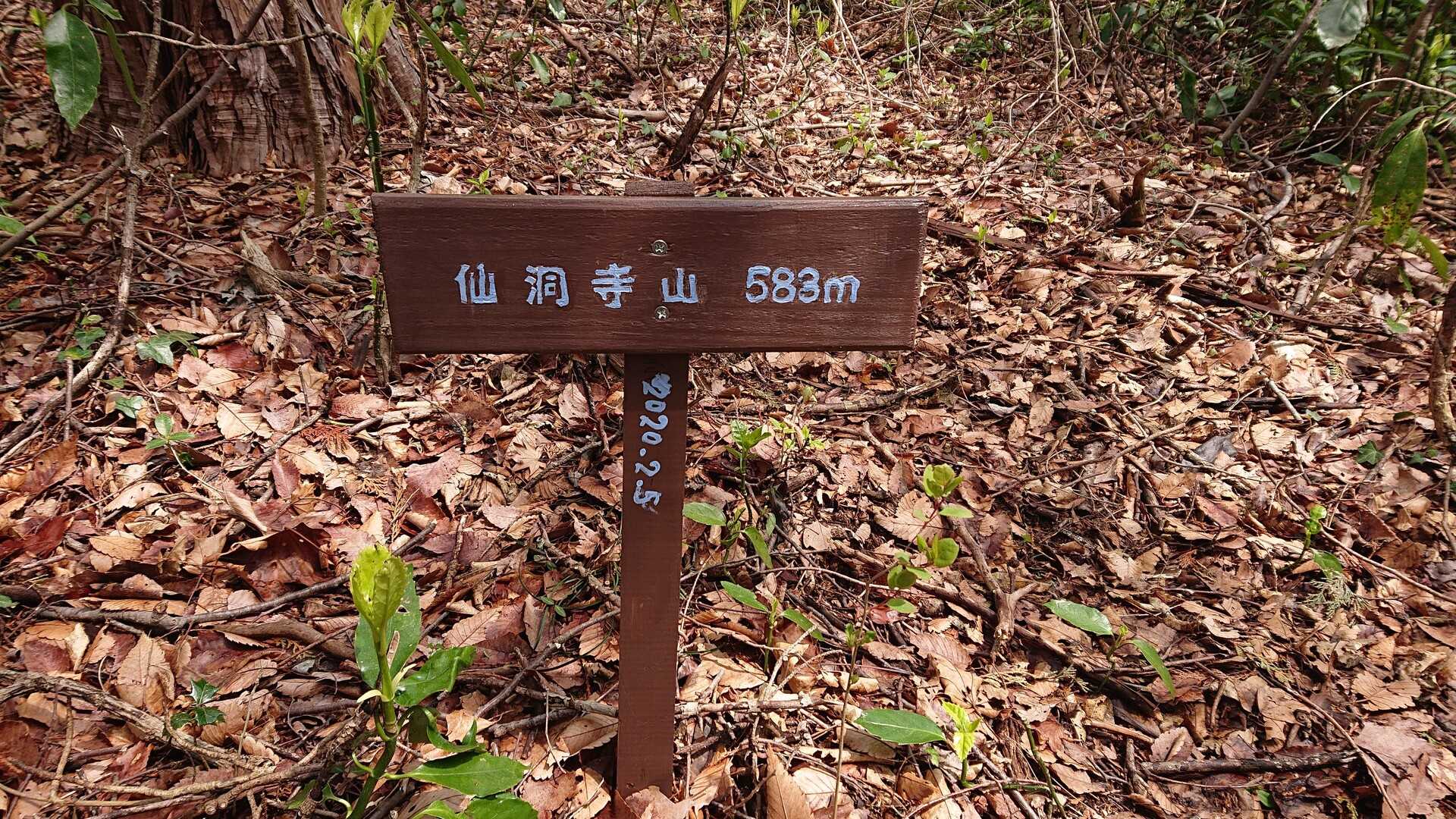 仙洞寺山の写真