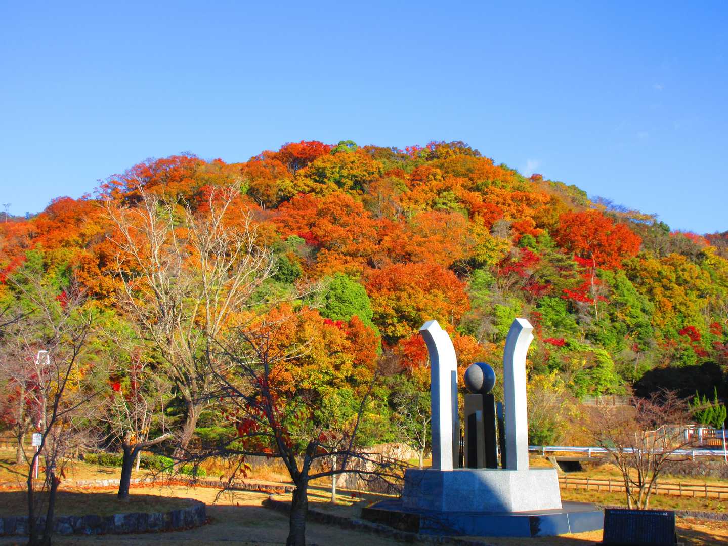 樫ヶ峰-社家郷山-行者山-行者山ハイキングコース西逆瀬台口 縦走コースの写真