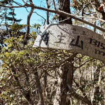 偉主山(いぬしやま)1,315m・・・
地形図では1,305mなのですが