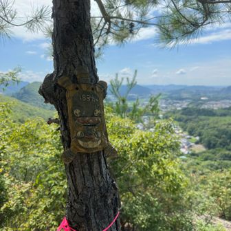 どんぐり山  183m
どんぐりは落ちていませんでした。