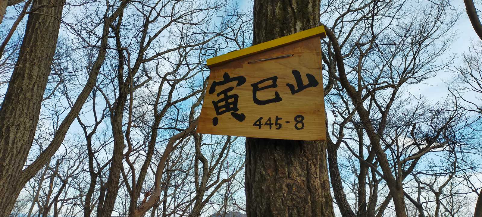 こっちの山名板は新しくてかわいい！
裏みたら 令和四年一月 って書いてありました！ついこないだ設置されたのですね！今年は寅年で登山者が多いからかな。。。

カバー写真にしちゃいましょう(^_^)/