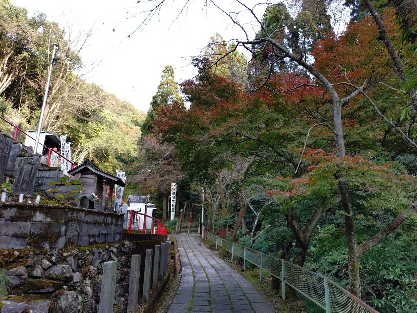うーん、紅葉色付きはじめ