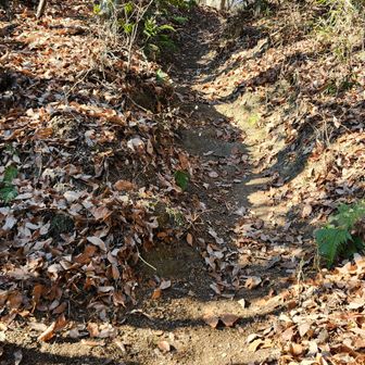 ここも綺麗になりました 👍🎉
