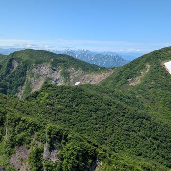 ここを帰りも歩く