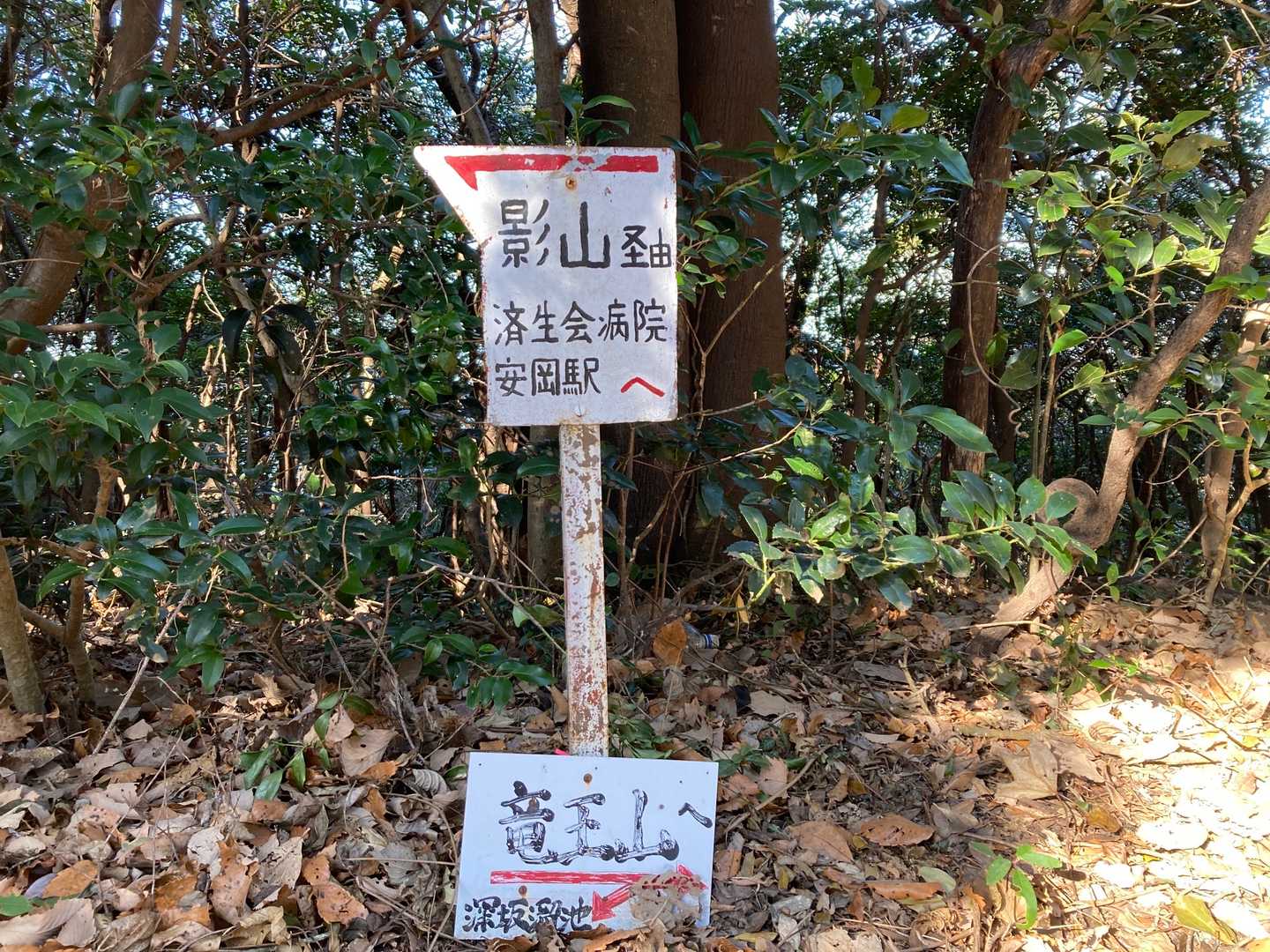 雌鋤先山-鋤先山-竜王山 往復コースの写真
