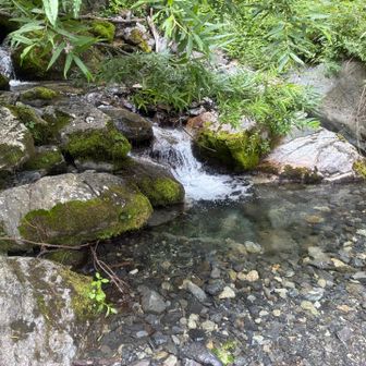水場