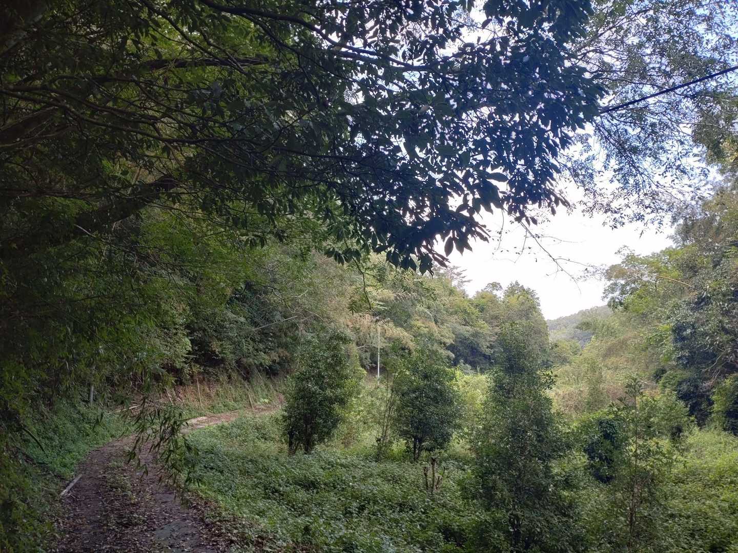 舗装路は荒れ気味