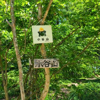 小谷山到着