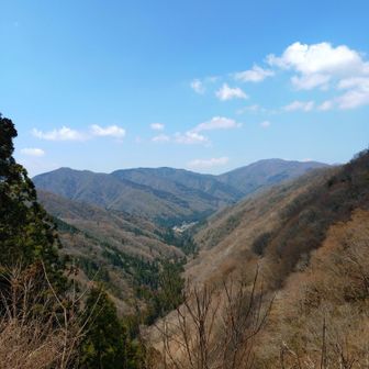 めっちゃイイ感じです✨️