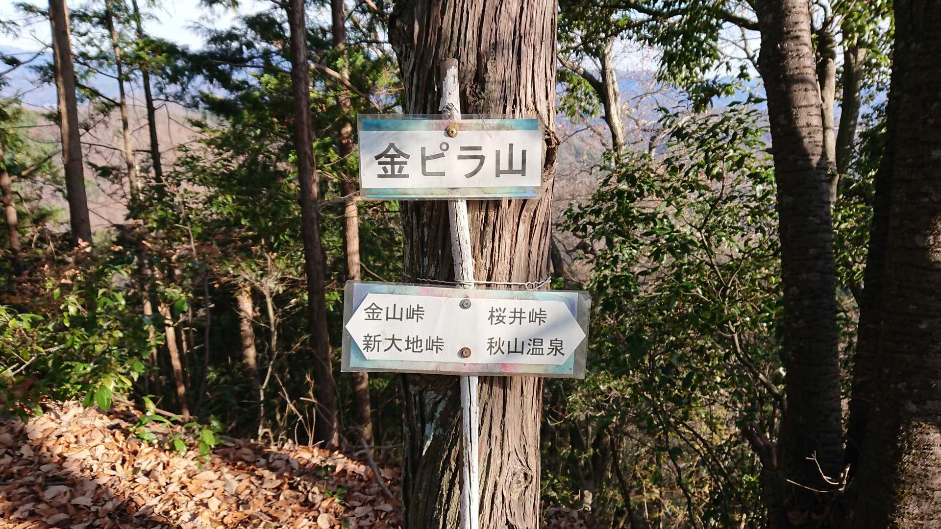 金ピラ山山頂に到着しました😃💦