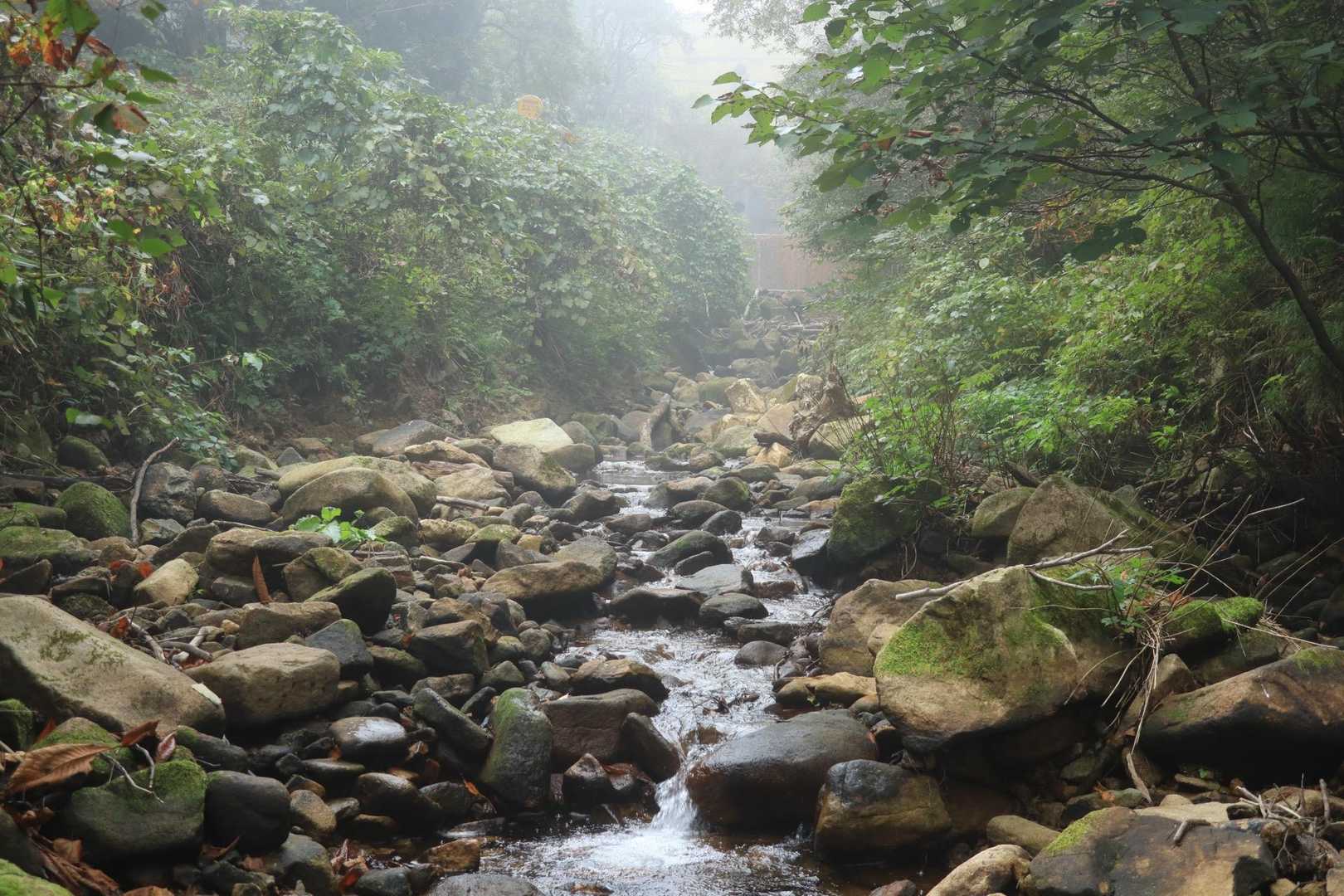 渡渉