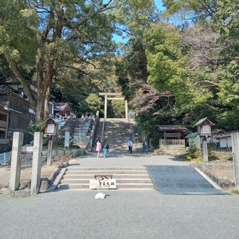 「眺望満喫コース」で下山後、多度橋から「街並みコース」を歩き、13:05～13:20多度大社。　左手が「上げ馬神事」が行われる坂。