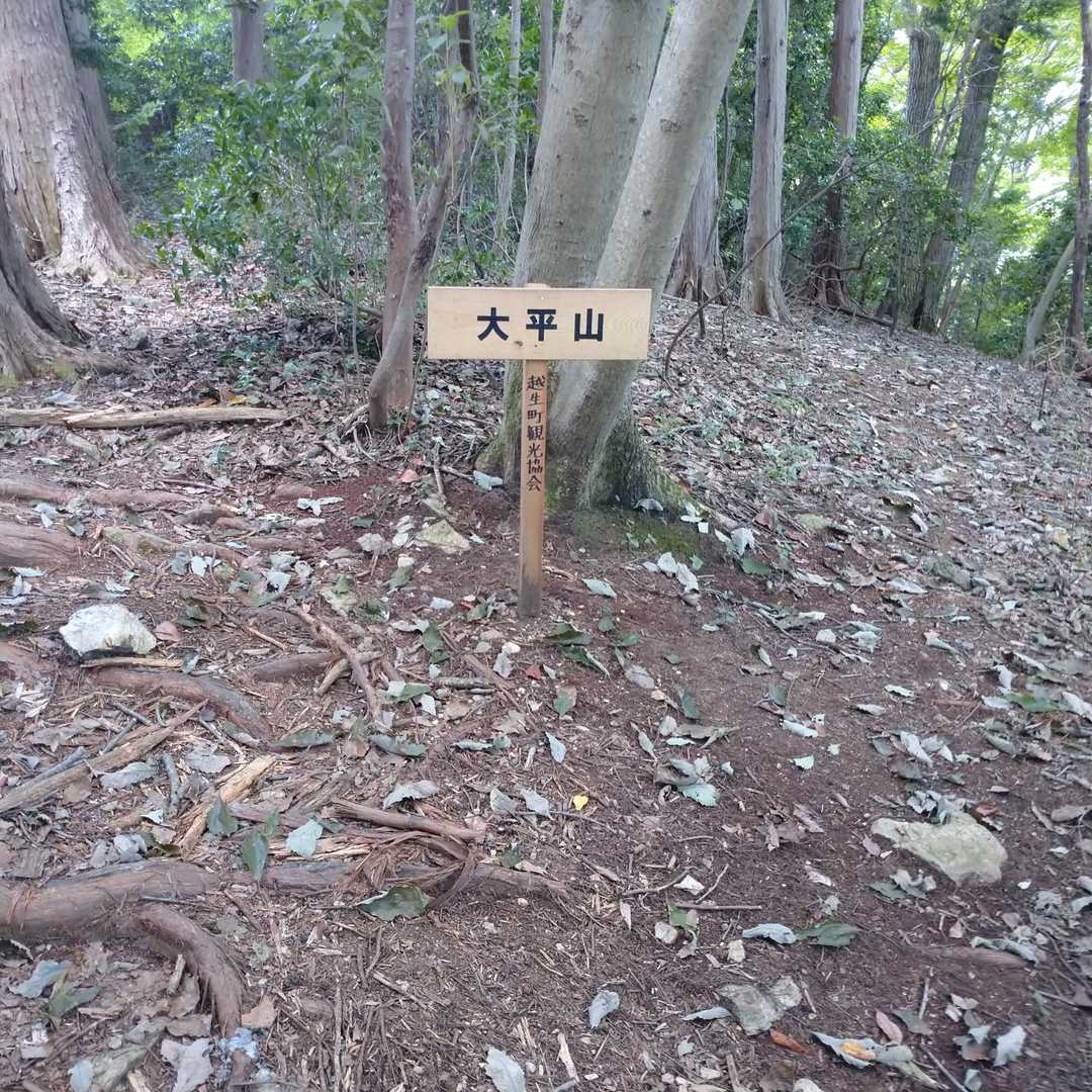 大平山山頂、展望なし