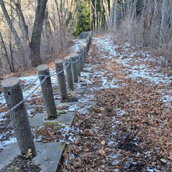 山頂からすぐの、笑うしかない、伝わらない急坂。
しかも所々の残雪が凍ってしゅべるので…