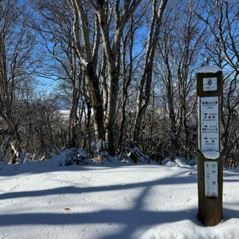 信州百名山、斑尾山（1,382m）登頂👏

眺望のない日本三百名山でもあります